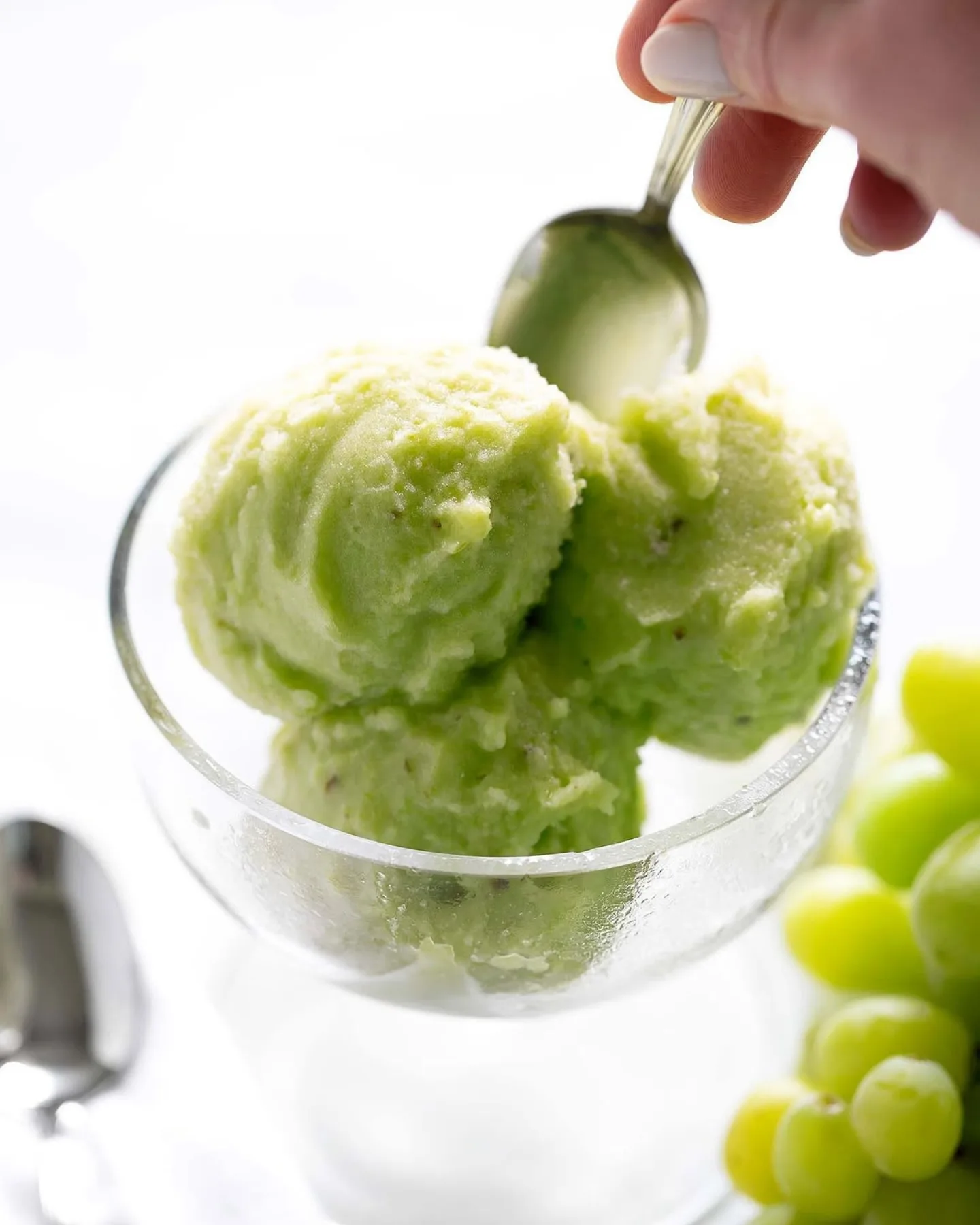 Sorbe od grožđa i limete u staklenoj desertnoj posudi.