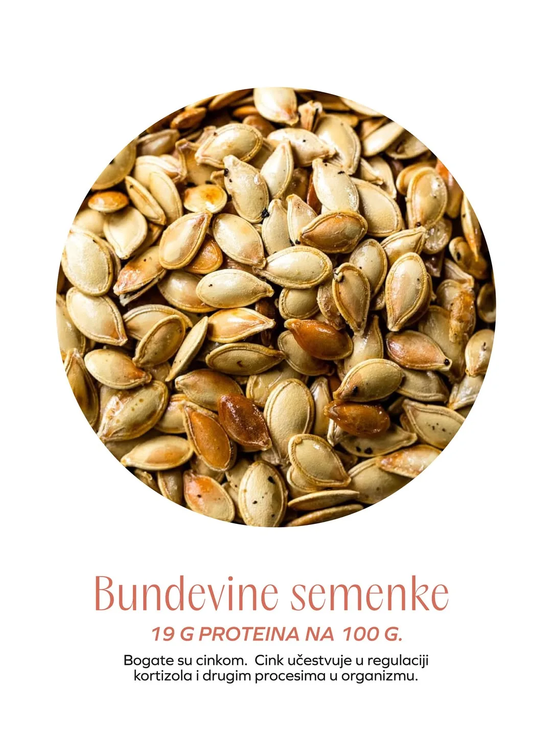 Krupni plan pečenih bundevinih semenki u ljusci. Infografik navodi 19 g proteina na 100 g i ističe sadržaj cinka.