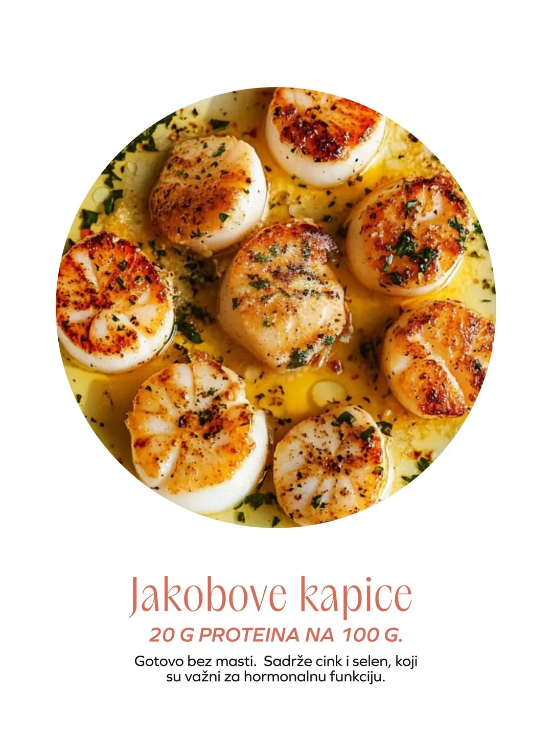 Jakobove kapice sa začinskim biljem u sosu, morski plodovi koji sadrže oko 20 g proteina na 100 g.