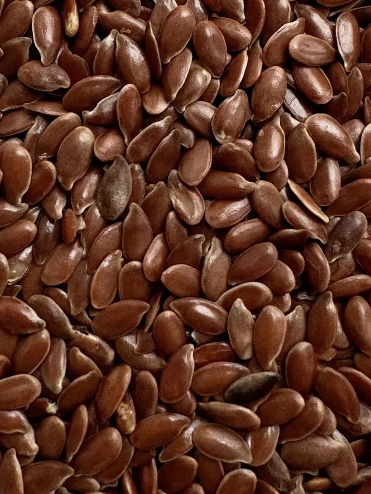 Krupni plan smeđih semenki lana, bogatih vlaknima i biljnim omega-3 masnim kiselinama.